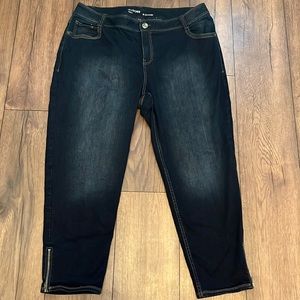 Lane Bryant genius fit ankle jean